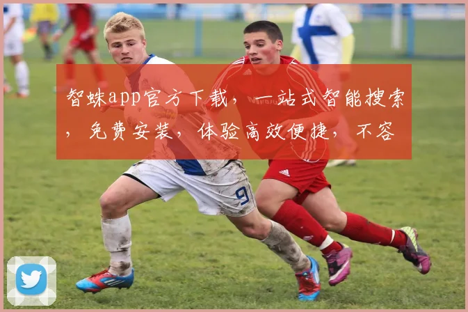 智蛛app官方下载，一站式智能搜索，免费安装，体验高效便捷，不容错过
