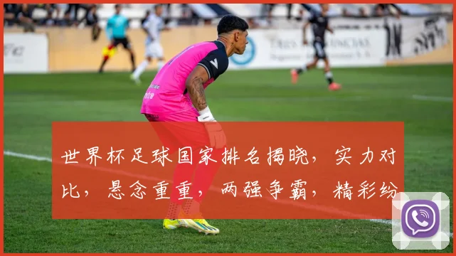 世界杯足球国家排名揭晓，实力对比，悬念重重，两强争霸，精彩纷呈